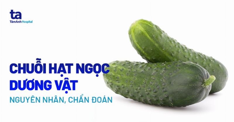 Hinh anh mot vet benh tren la lan ngoc diem